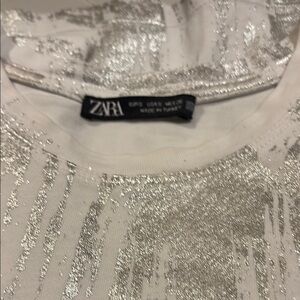 Zara Silver Glitter Top